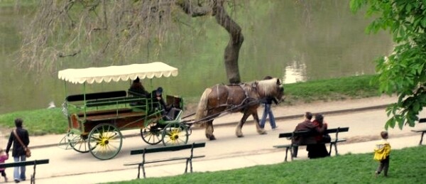 Parc-des-Buttes-Chaumont