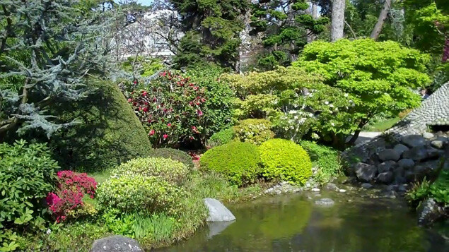 parc de saint cloud b