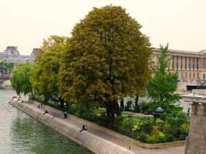 Parigi-Vert-Galant