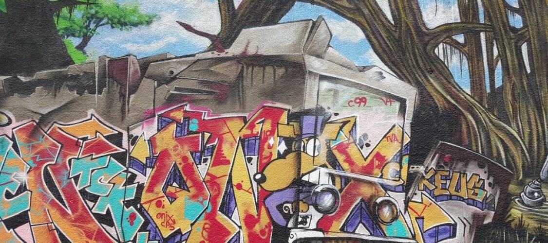 I migliori tour sui luoghi della street art parigina