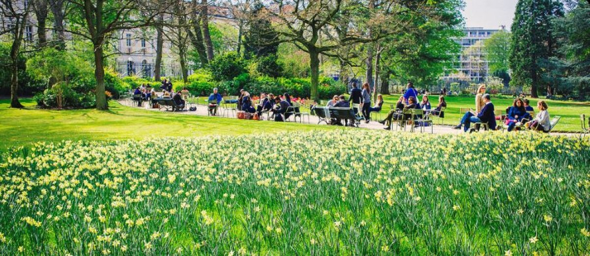 Scopri i migliori Pass turistici di Parigi e visita le attrazioni imperdibili risparmiando tempo e denaro