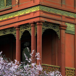 Pagoda Paris: un insolito edificio in stile cinese nell'8°arr. di Parigi